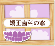 矯正歯科の窓